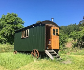 Cosy woodland off Grid Shepherds Hut - Rowan