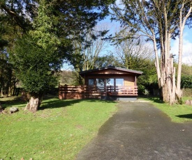 Birch Lodge 23 with Hot Tub Newton Stewart