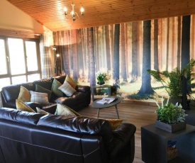 Silver Birch Lodge with Hot Tub near Cupar Fife