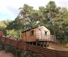 Pine Marten Bar Glenmore Treehouse