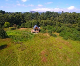 Birdwatcher's Cabin