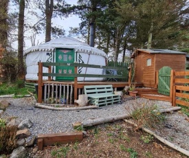 The Tall Pines Yurt