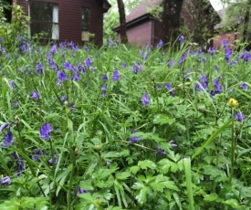 Burnbank Lodges